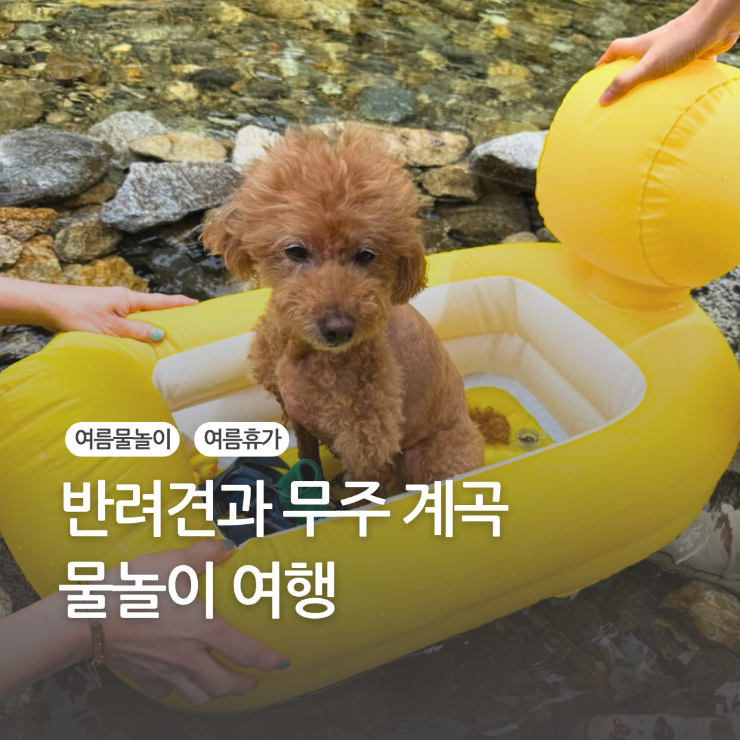 사진 5
