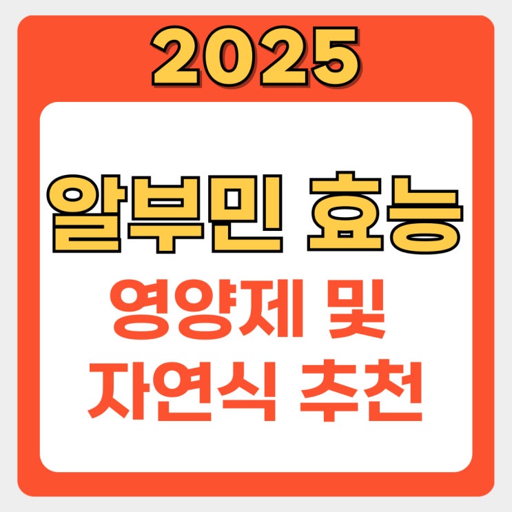  알부민 효능 총정리! 혈관 건강부터 면역력까지 꼭 알아야 할 효과들
