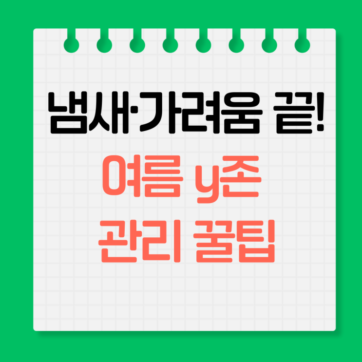  더운 날 Y존 냄새 가려움 완전 차단