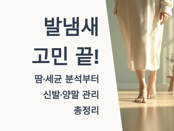  발 냄새 고민 끝! 땀·세균 분석부터 신발·양말 관리까지 총정리