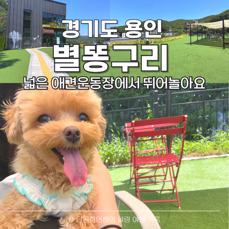 사진 4