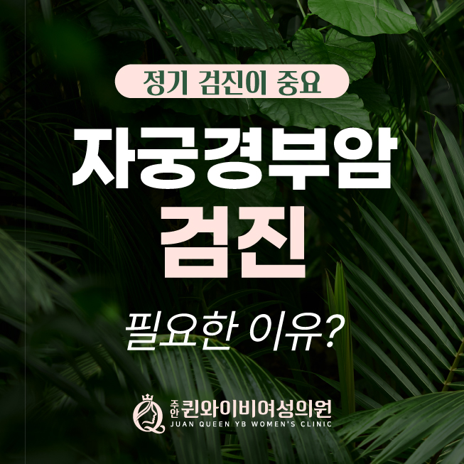  인천 미추홀구 여의사산부인과 자궁경부암 검사