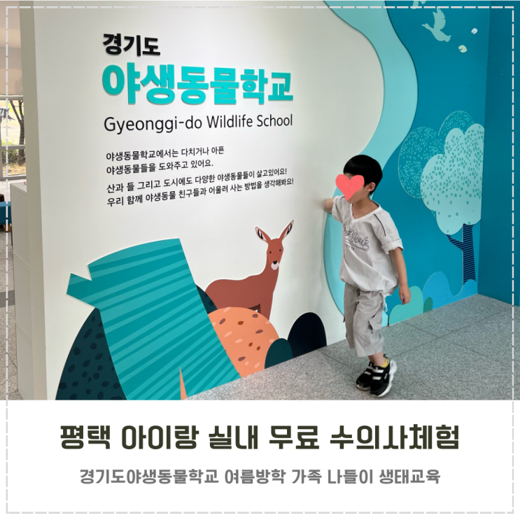  평택 아이랑 실내 무료 야생동물학교 수의사체험