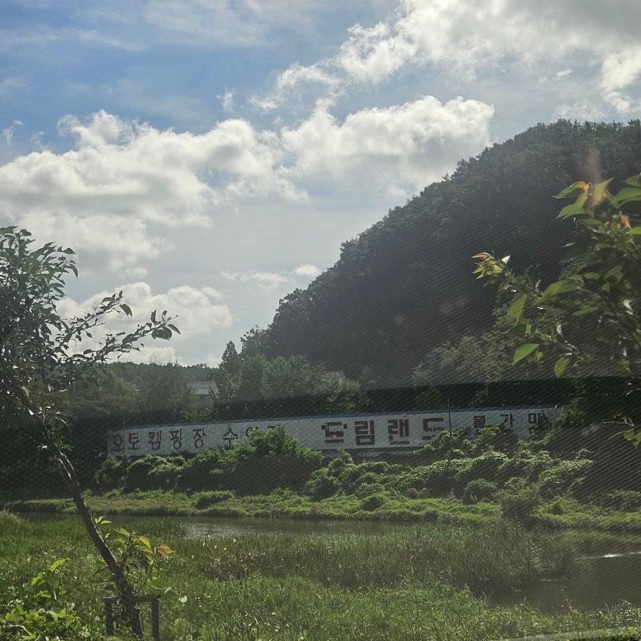 드림랜드 오토캠핑장 사진 3