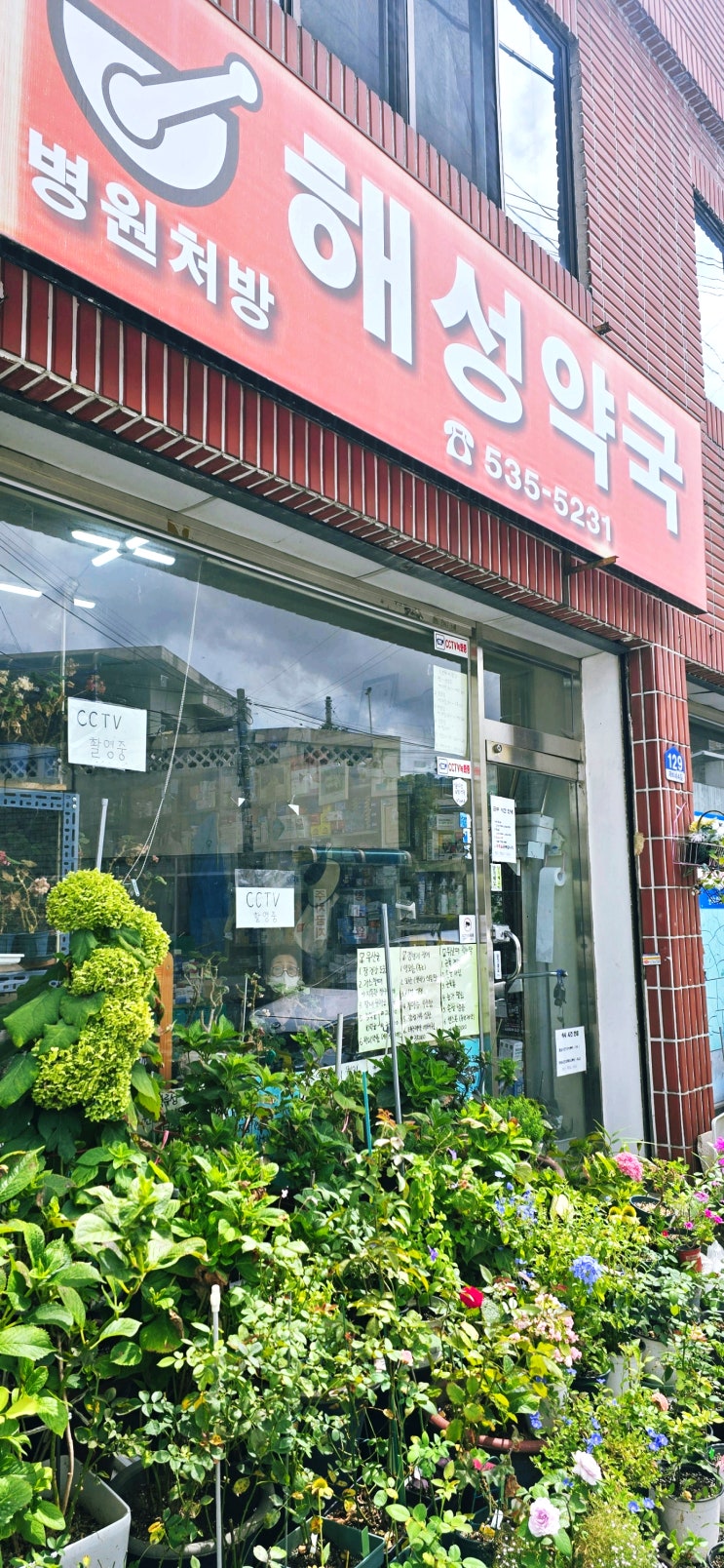  20250814 어제 대전다녀왔어요ㅎ (매지네꽃밭님)