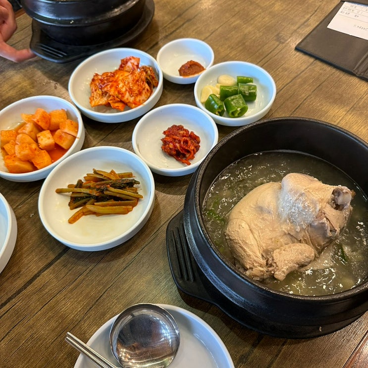  [광주] 삼계탕 맛집 믿고 가는 고려조삼계탕 금남점