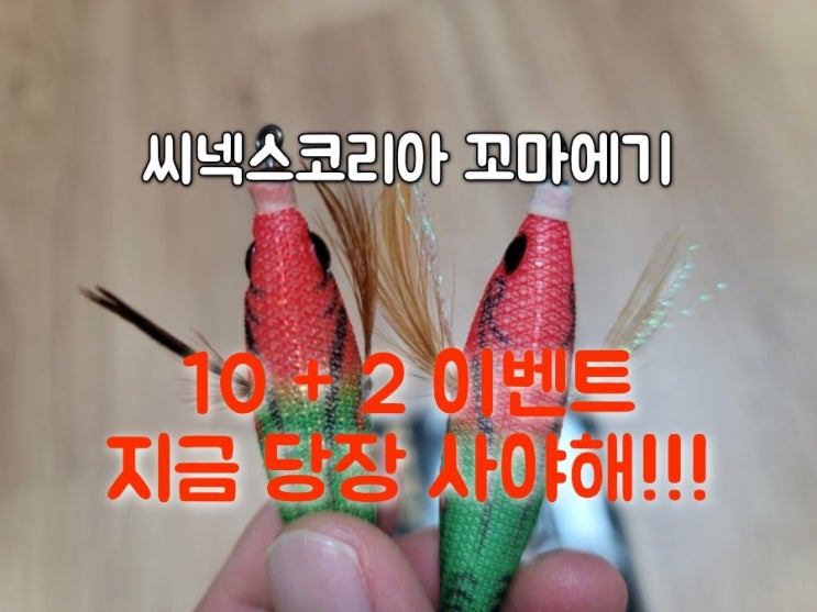  쭈꾸미 갑오징어 에기 이벤트 10개사면 2개 추가 지금사야함