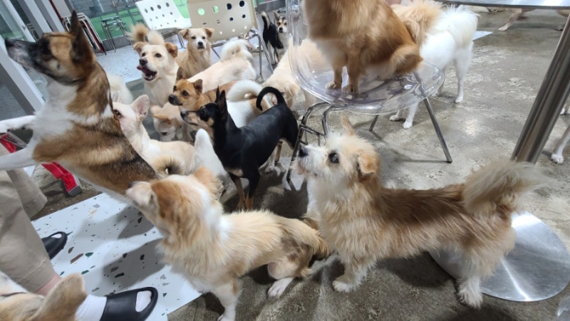 사진 4