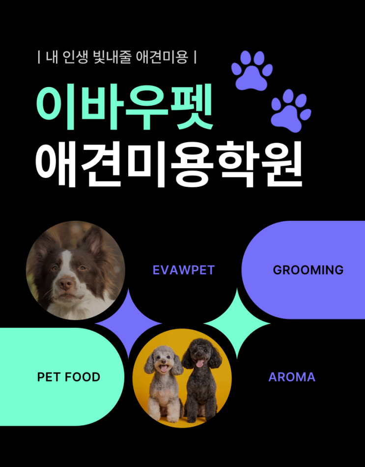  무안애견미용학원, 딱 이 것만 알면 된다!