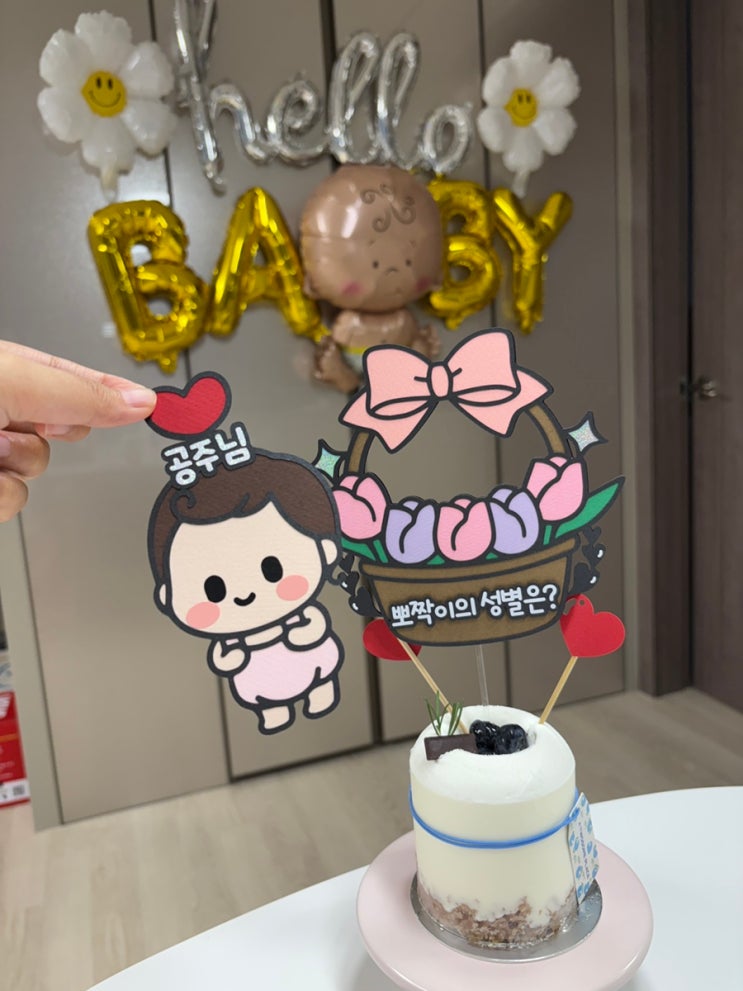  임신기록 호산부인과 16주 2차 기형아검사 결과 초음파 성별 젠더리빌 이벤트