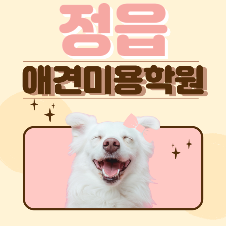  정읍애견미용학원 선택, 전문 미용사로 성장하는 확실한 길