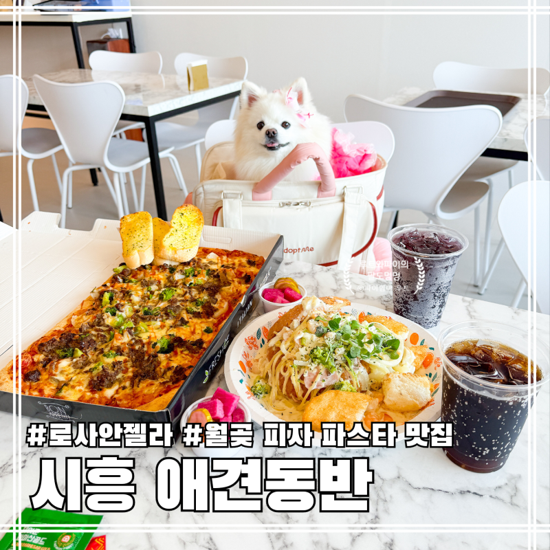 사진 3