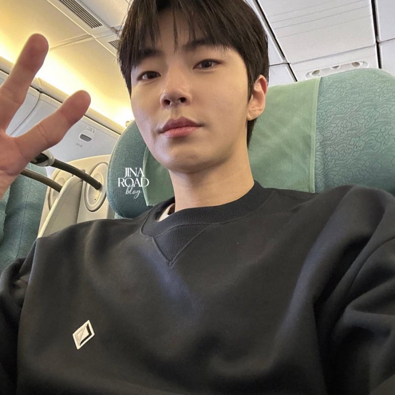 황인엽 나무위키 프로필, 정채연, 드라마 차기작