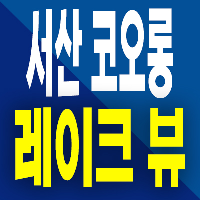  서산 코오롱 레이크뷰 할인분양 오피스텔 분양가 읍내동 선임대 원룸 분양정보