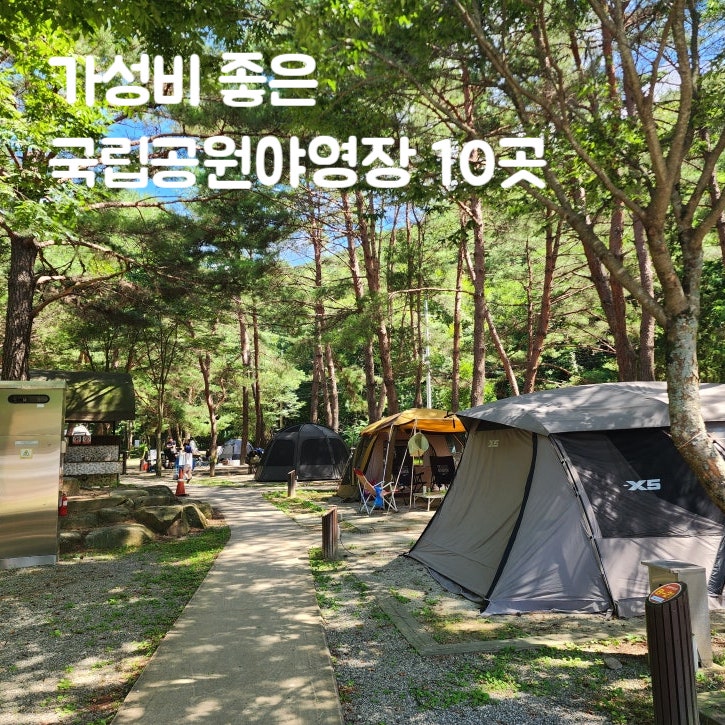  [네이버 지도 저장리스트] 가성비 좋은 국립공원 오토캠핑장 10곳 추천