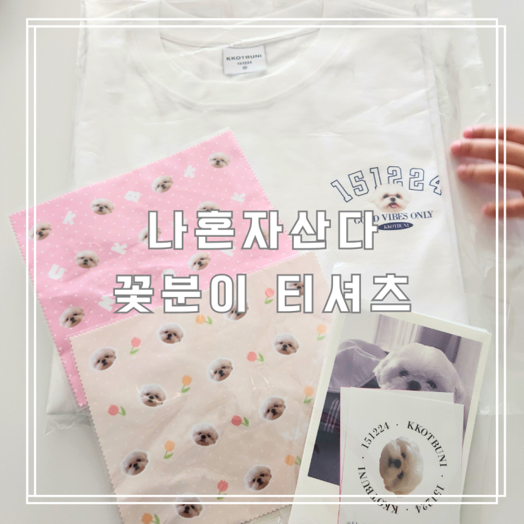  나혼자산다 속 귀여움 한도 초과 반려견 꽃분이 티셔츠 착용 컷까지