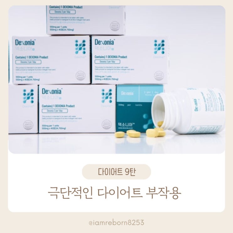  [다이어트 9단계] 극단적인 다이어트의 부작용, 그리고 ‘올바른 다이어트’가 오래 가는 이유
