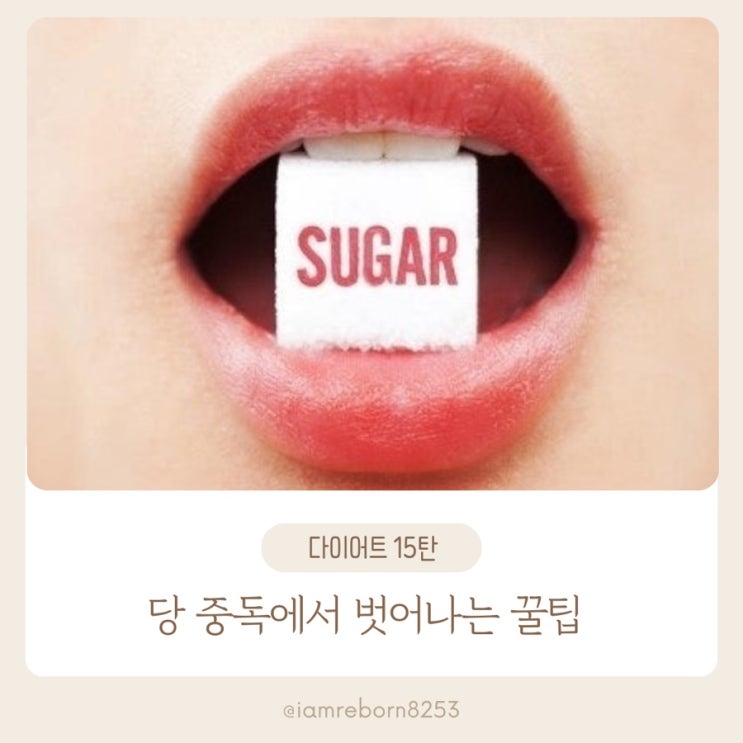  [다이어트 15탄]  당 중독에서 벗어나기 위한 설탕 줄이기 꿀팁