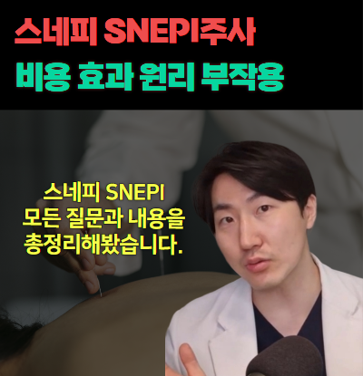 스네피 SNEPI 주사, 비용 가격 효과 원리 부작용 치료주기 총정리, 자율신경실조증의 근본 치....