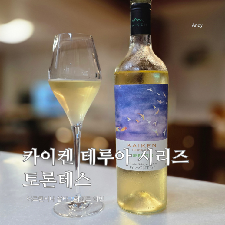  아르헨티나 화이트 와인 추천 / 카이켄 테루아 시리즈 토론테스