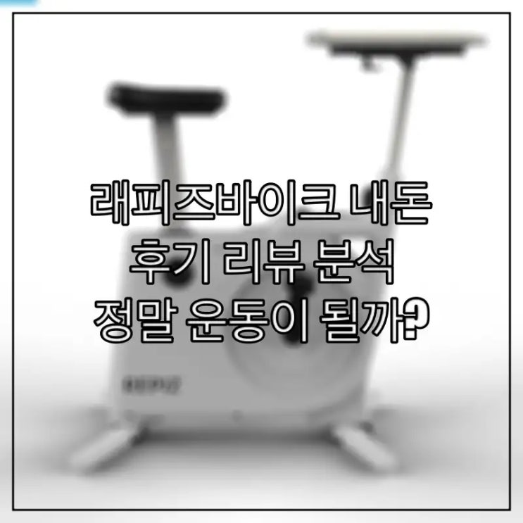  래피즈바이크 내돈 후기 리뷰 분석, 정말 운동이 될까?