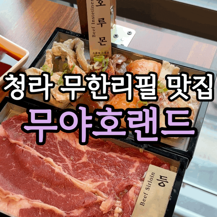  청라 무한리필 무야호랜드 후기｜소고기·호루몬·샤브&훠궈까지 무제한!