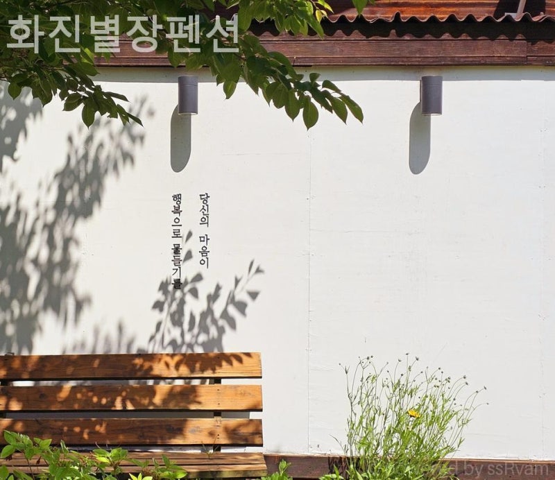 사진 4