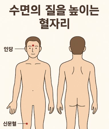  수면제 없이 불면증 해결! 동탄 스포츠마사지로 숙면하는 혈자리 관리
