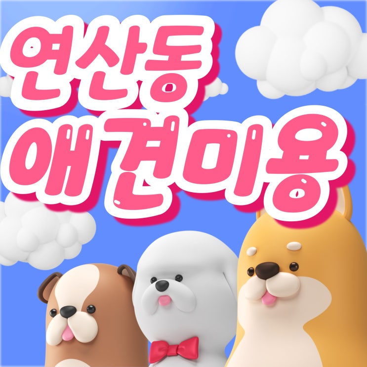  연산동애견미용 비용 부담을 낮추기 위한 최적의 선택