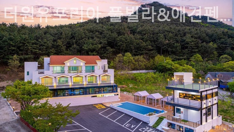 사진 2