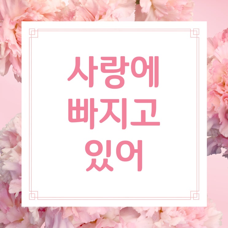  초큐메이 Cho Q May 노래 당신의 연인이 되고 싶어 가사 TJ노래방번호 발음 코이니오치테이루 사랑에 빠지고 있어