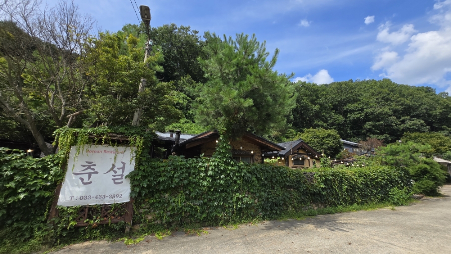 춘설 사진 1