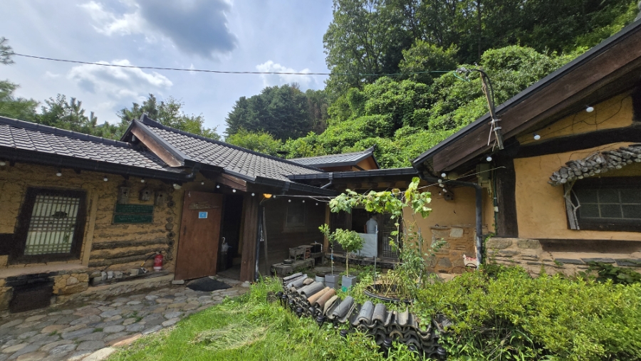 춘설 사진 4