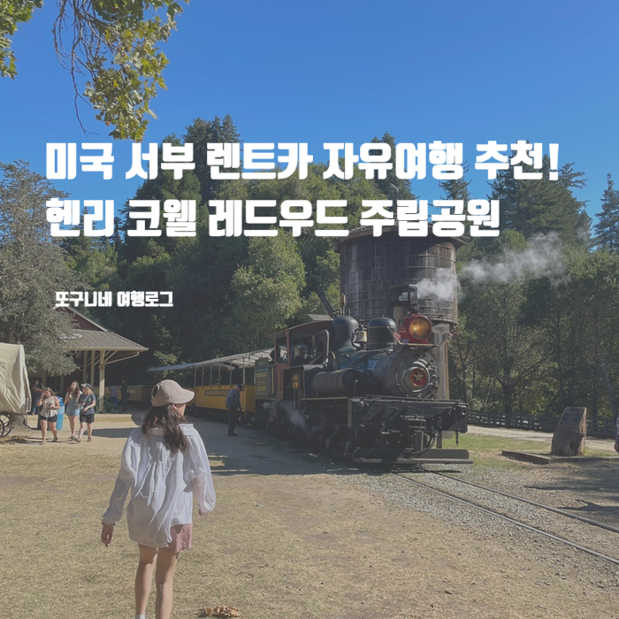  미국 서부 도시 산타크루즈 근교 렌트카 자유여행 추천! 헨리 코웰 레드우드 주립공원