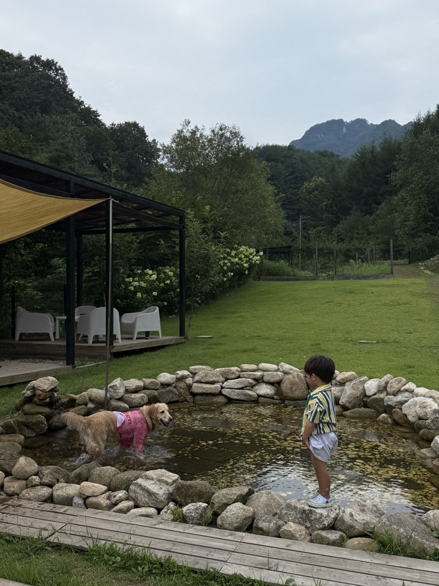 마치집인냥 사진 3