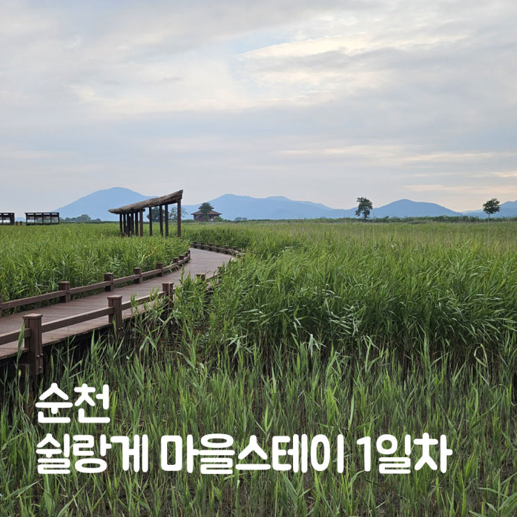  순천마을스테이 쉴랑게 선암사 순천만습지부터 들마루펜션까지