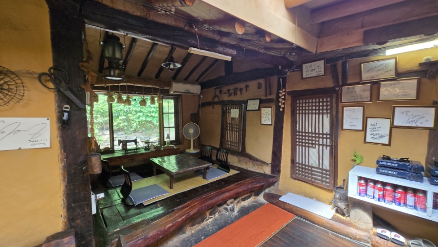 춘설 사진 6