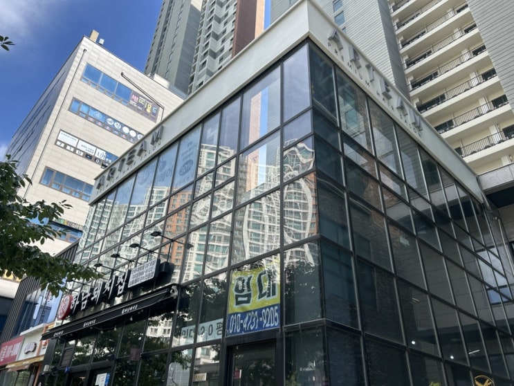  알팀헤어 용현점 아람 디자이너 헤어클리닉 후기