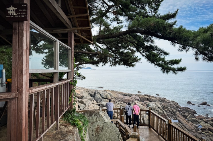  보령 가볼만한곳 죽도 상화원 주차장 당일여행