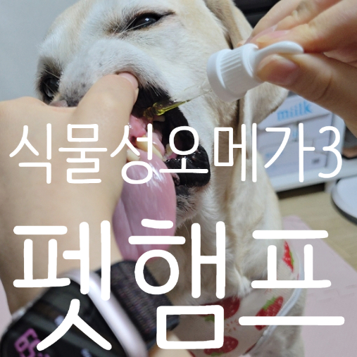  강아지오메가3 펫햄프 강아지영양제추천 식물성오메가3