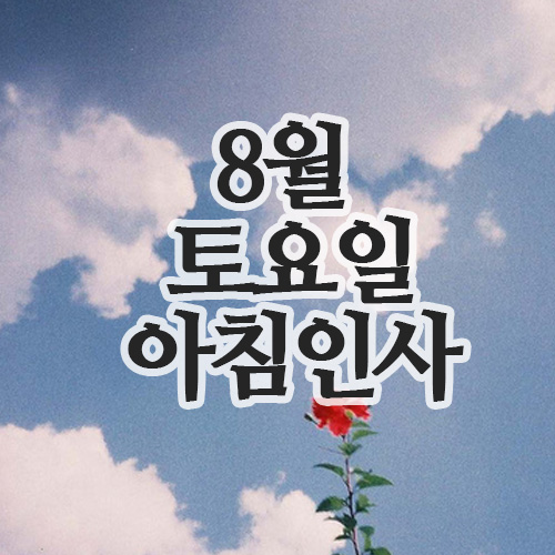  8월 인사말이미지, 16일 토요일 주말 아침인사 문자