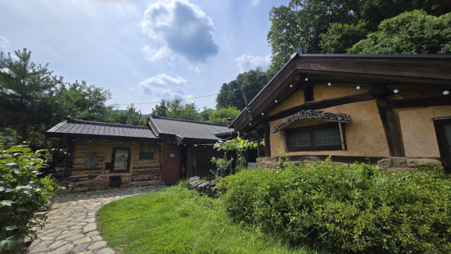 춘설 사진 3