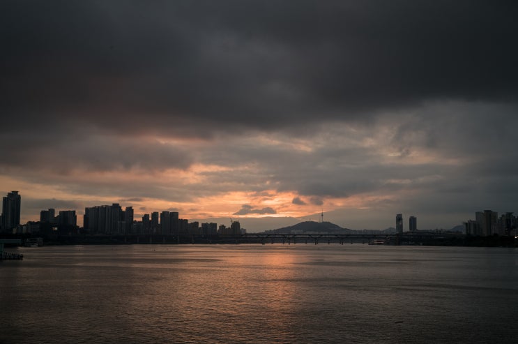  라이카로 산책하며 사진 찍기 두번째이야기 20250812 0814