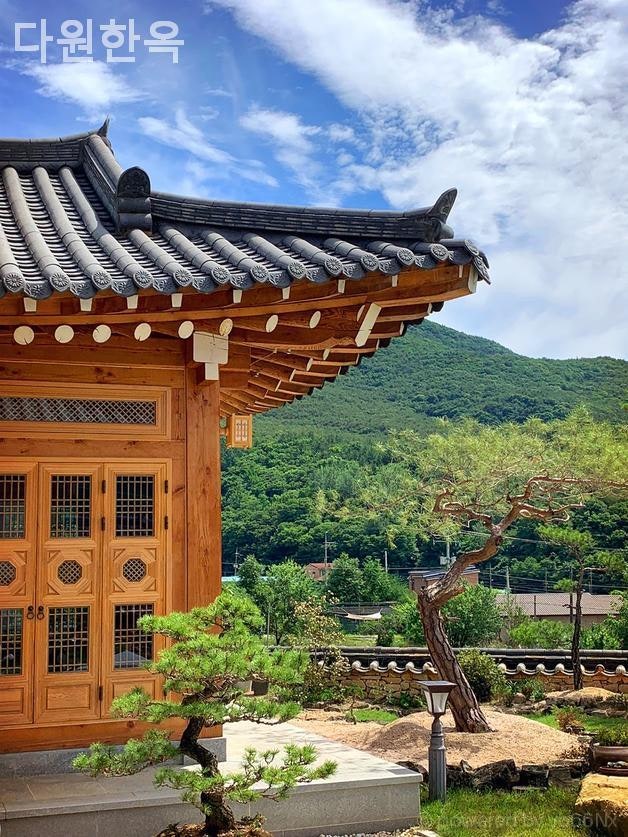 사진 3