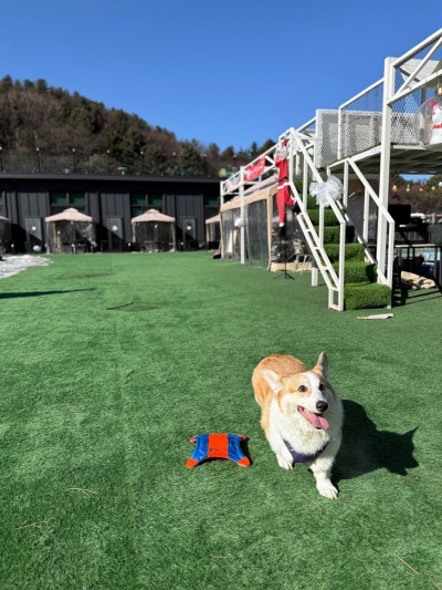 사진 9