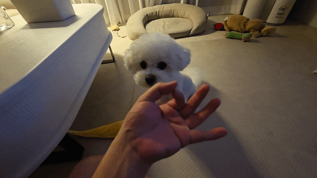  강아지 닭 가슴살 삼계탕 만들기 여름철 강아지 보양식 화식 만들기