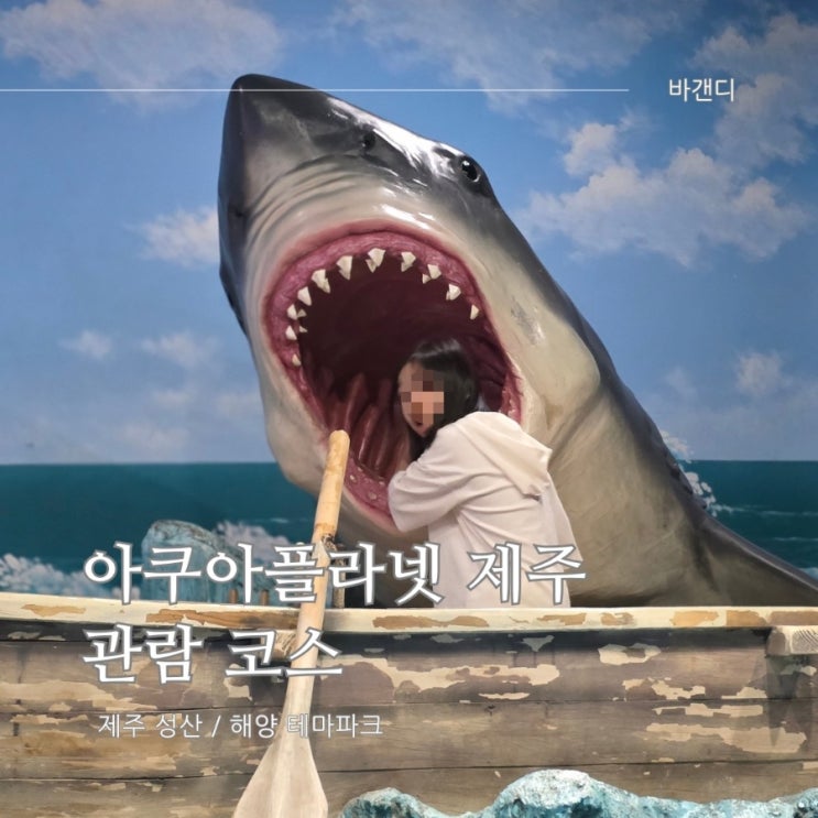  한화 제주 아쿠아플라넷 할인 및 관람 코스 정리