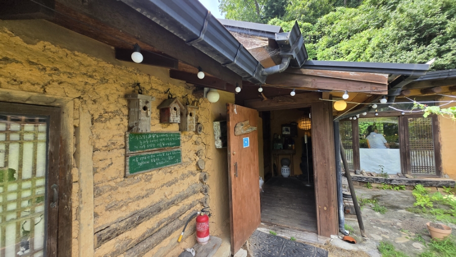 춘설 사진 5
