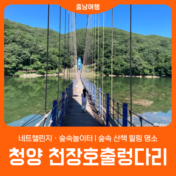 [청양 천장호출렁다리] 아이와 함께 l 숲속 산책 힐링 명소