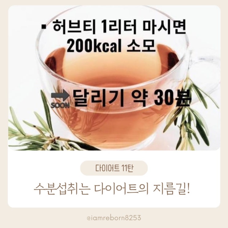  [다이어트 11탄] 하루 수분 섭취, 왜 다이어트에서 빼놓을 수 없을까?